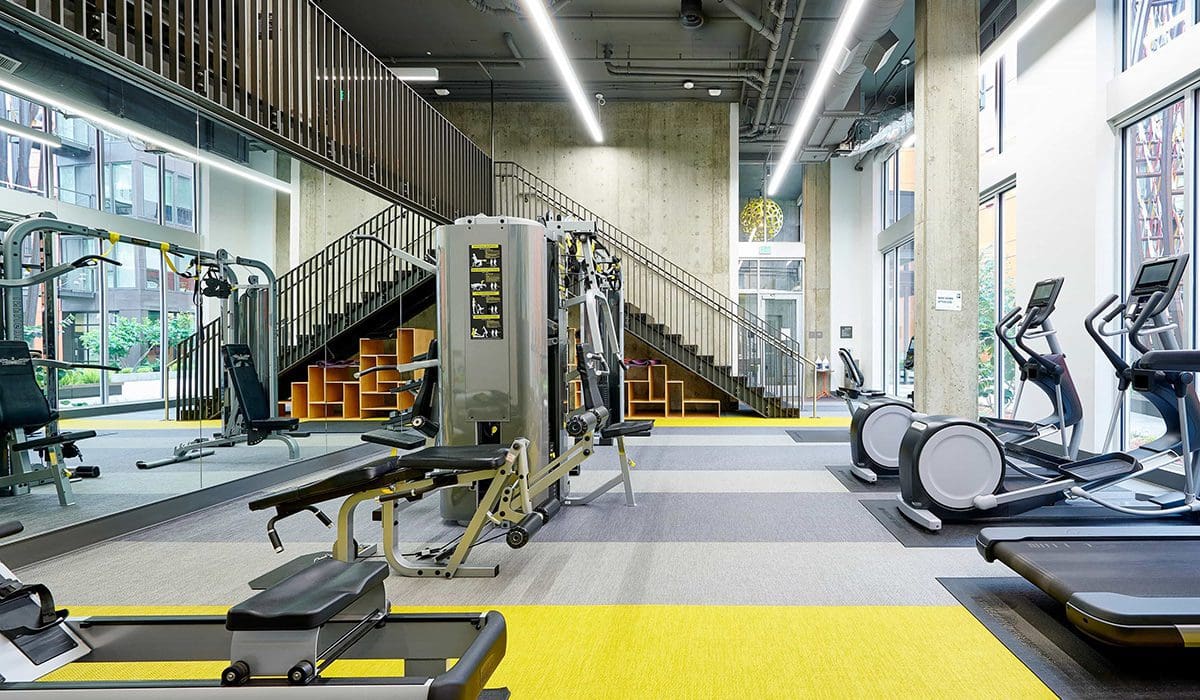 Treadmills Gym Arras